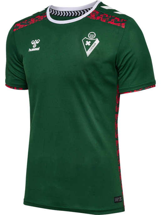 SDE 24/25 COMMUNITY JERSEY S/S, EDEN, packshot