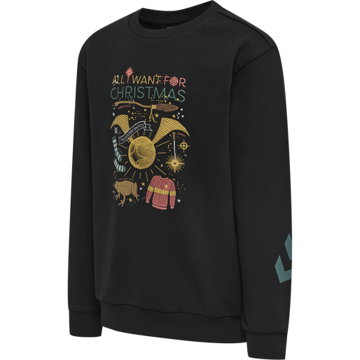 hmlHARRY POTTER DOS SWEATSHIRT, 2001 hmlHARRY POTTER DOS SWEATSHIRT, 2001, packshot