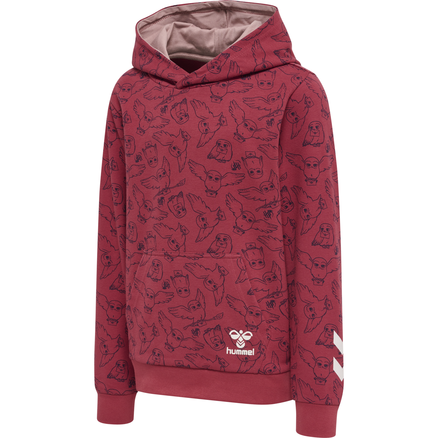 hmlHARRY POTTER AOP HOODIE, EARTH RED, packshot