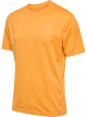 BLAZING ORANGE