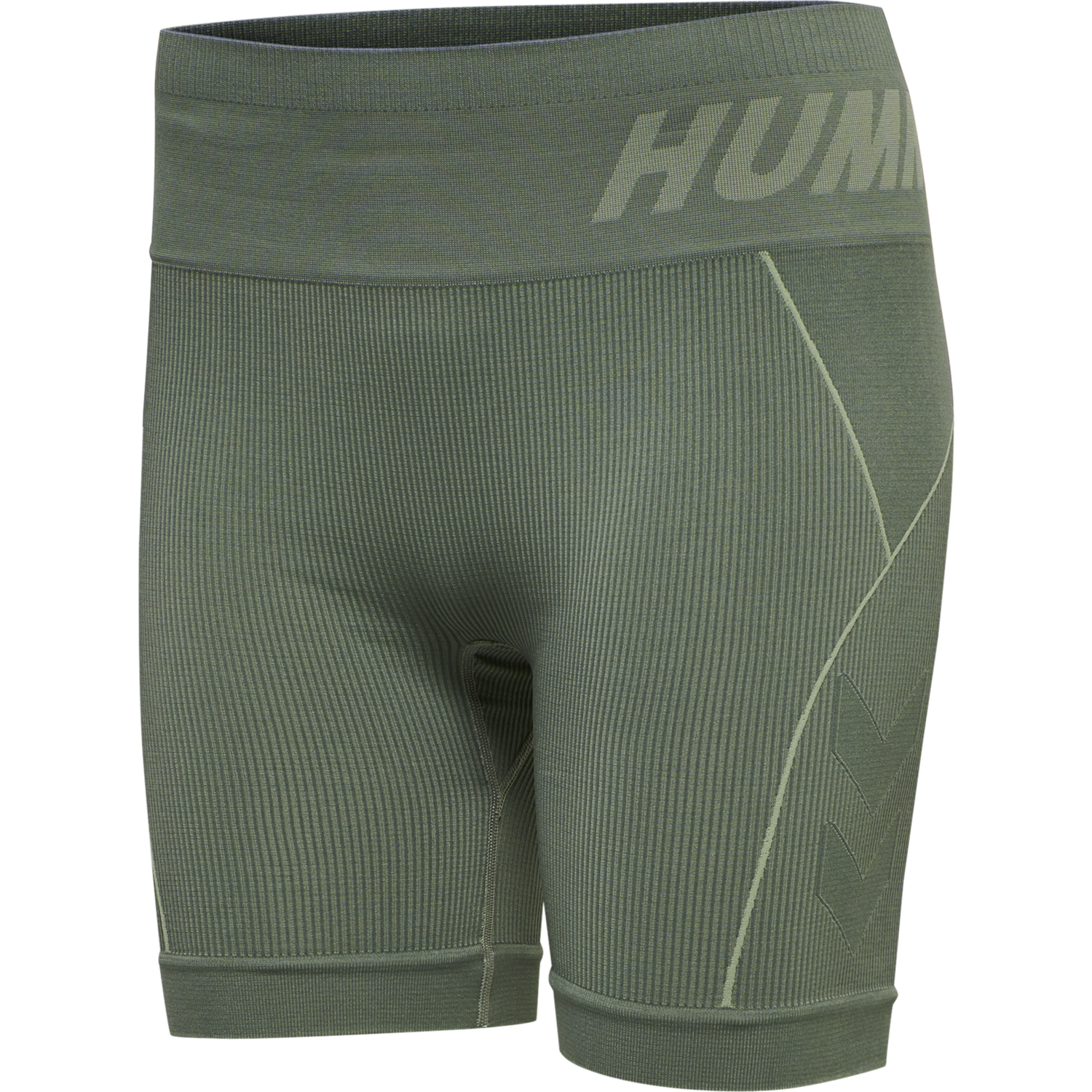 hmlTE CHRISTEL 2-PACK SEAML SHORTS, BLACK/LILY PAD, packshot