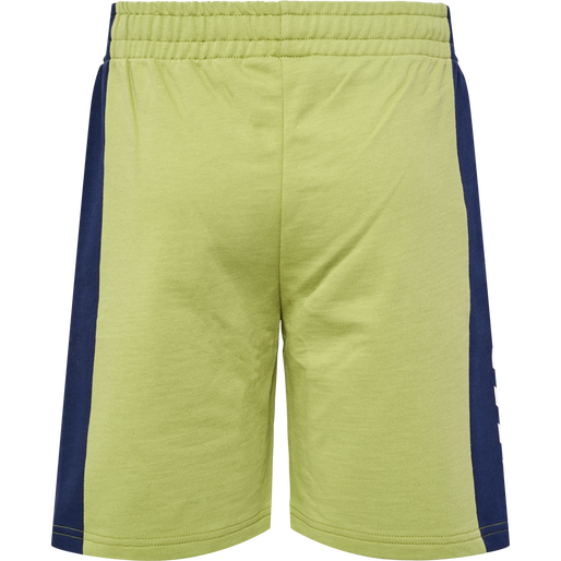 hmlRUSH BLOCK SHORTS, GREEN OLIVE hmlRUSH BLOCK SHORTS, GREEN OLIVE, packshot