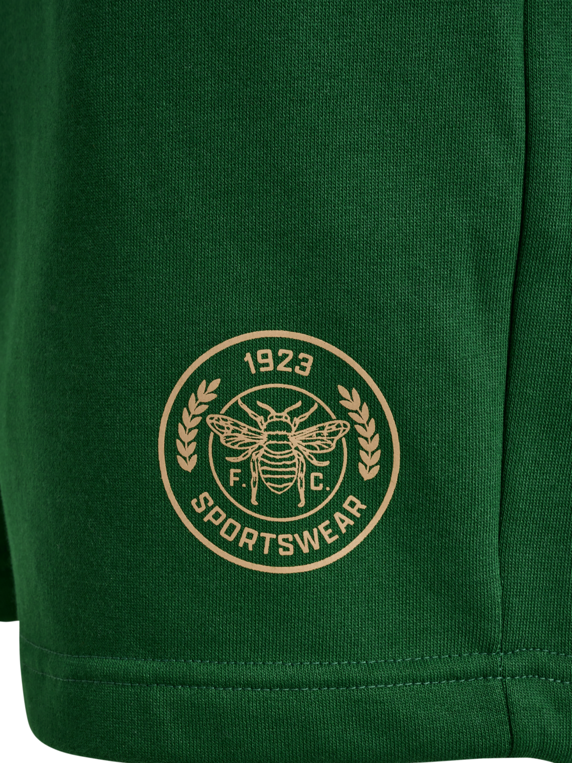 hmlSWARM SHORTS, EDEN, packshot