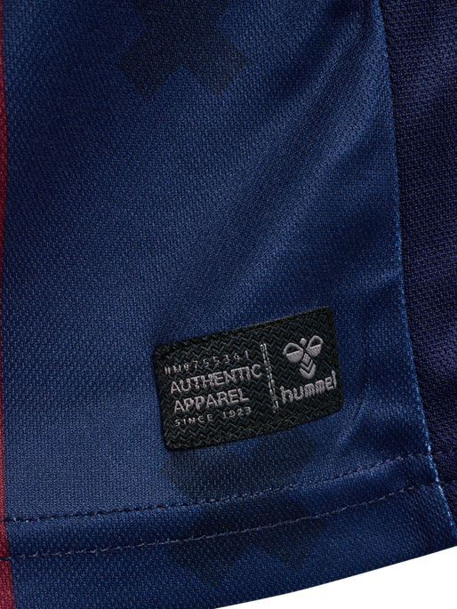 SDE 24/25 IRON SOUL JERSEY S/S, ZINFANDEL SDE 24/25 IRON SOUL JERSEY S/S, ZINFANDEL, packshot