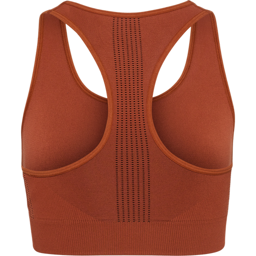 hmlMT SHAPING SEAMLESS SPORTS TOP, ARABIAN SPICE, packshot
