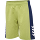 GREEN OLIVE