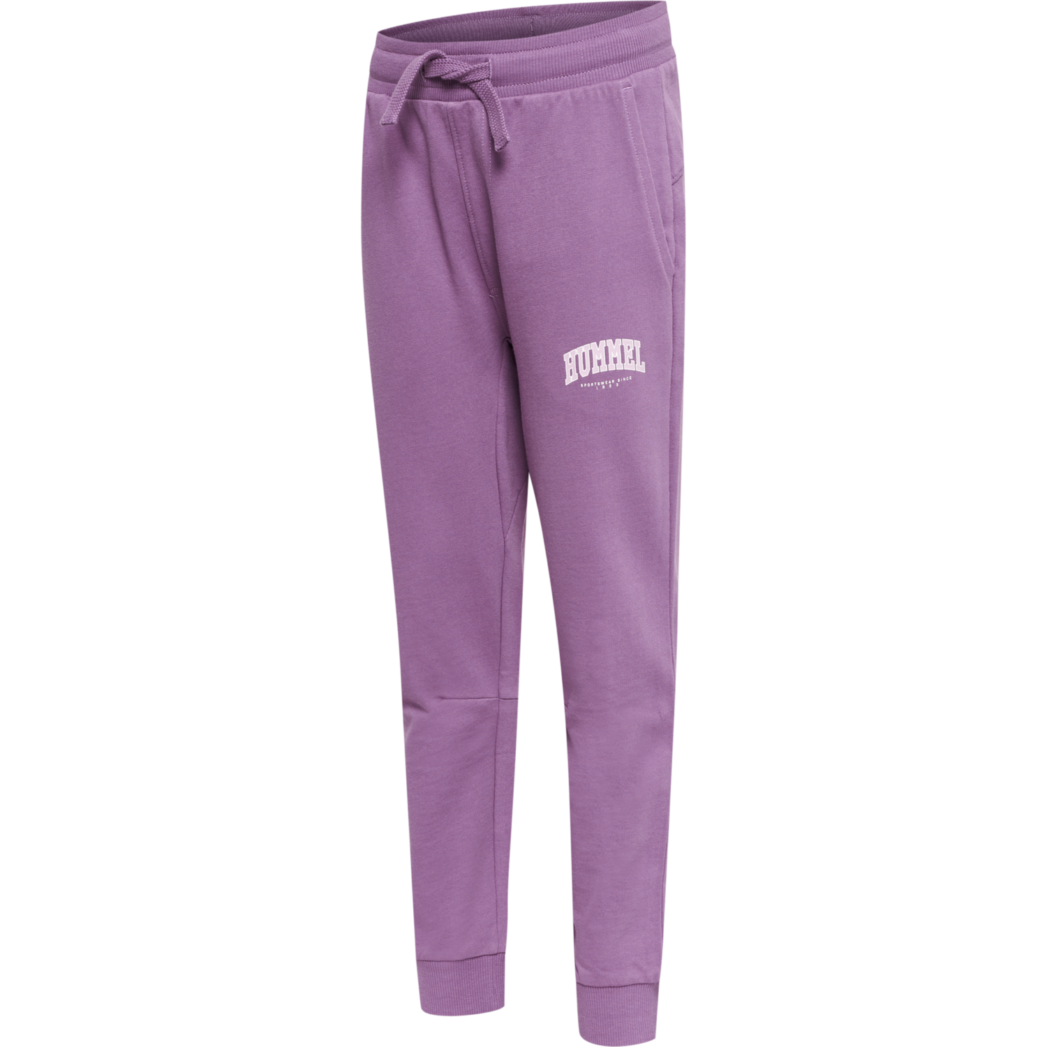 hmlFAST PANTS, ARGYLE PURPLE, packshot