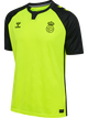 SAFETY YELLOW