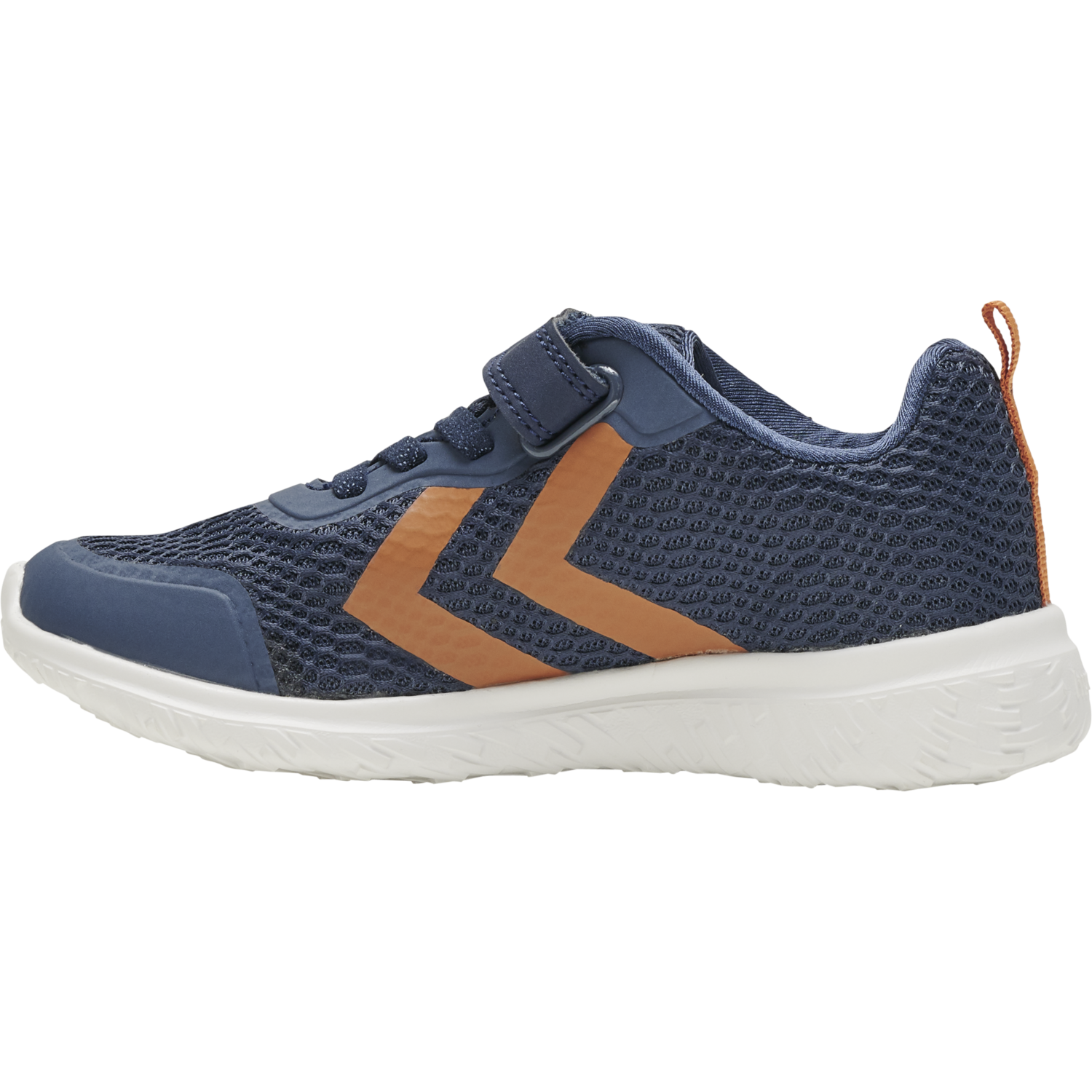 ACTUS TEX JR, BLACK IRIS, packshot