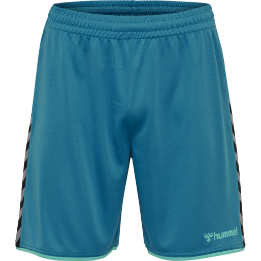 hmlAUTHENTIC POLY SHORTS, CELESTIAL, packshot