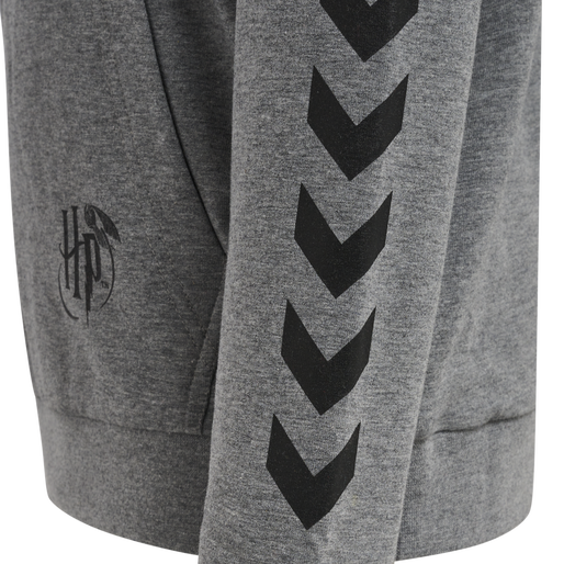 hmlHARRY POTTER CUATRO HOODIE, MEDIUM MELANGE hmlHARRY POTTER CUATRO HOODIE, MEDIUM MELANGE, packshot