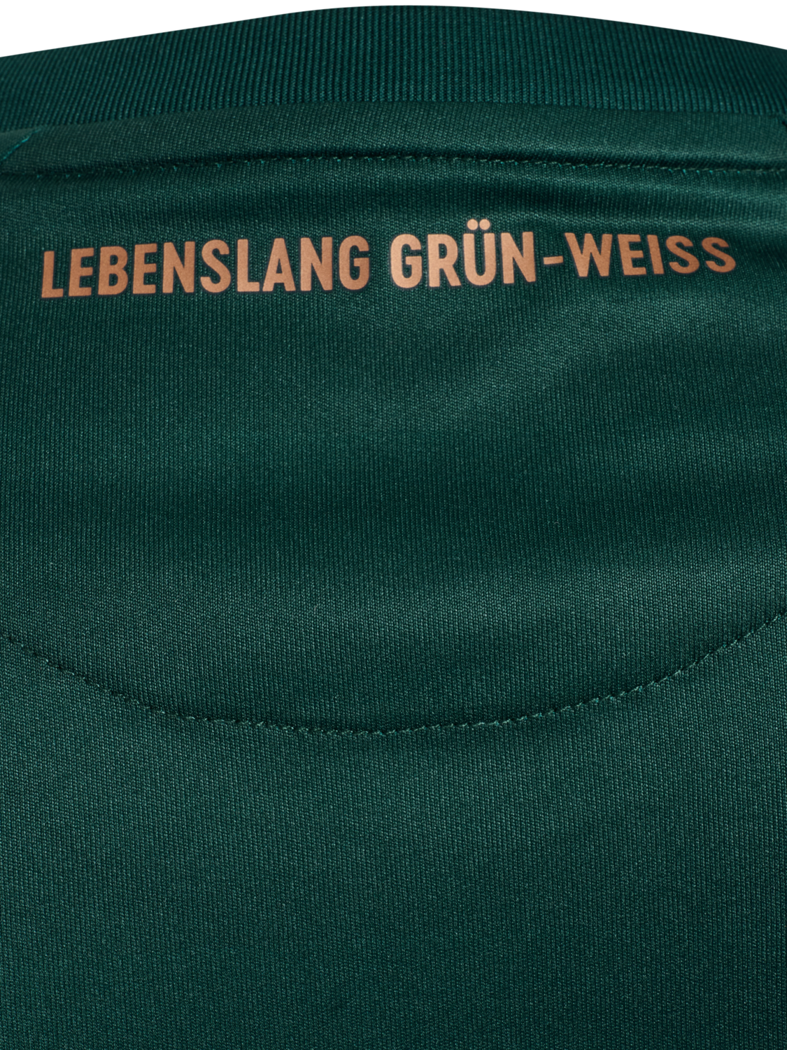 WER 25/26 3RD JERSEY S/S, SCARAB, packshot