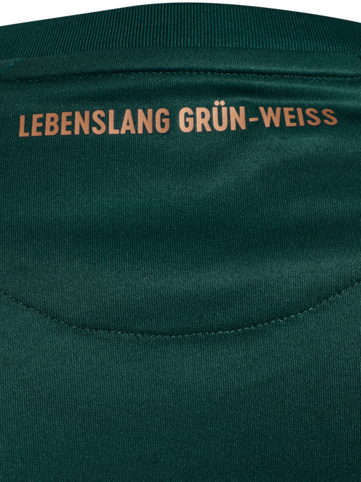WER 25/26 3RD JERSEY S/S, SCARAB, packshot