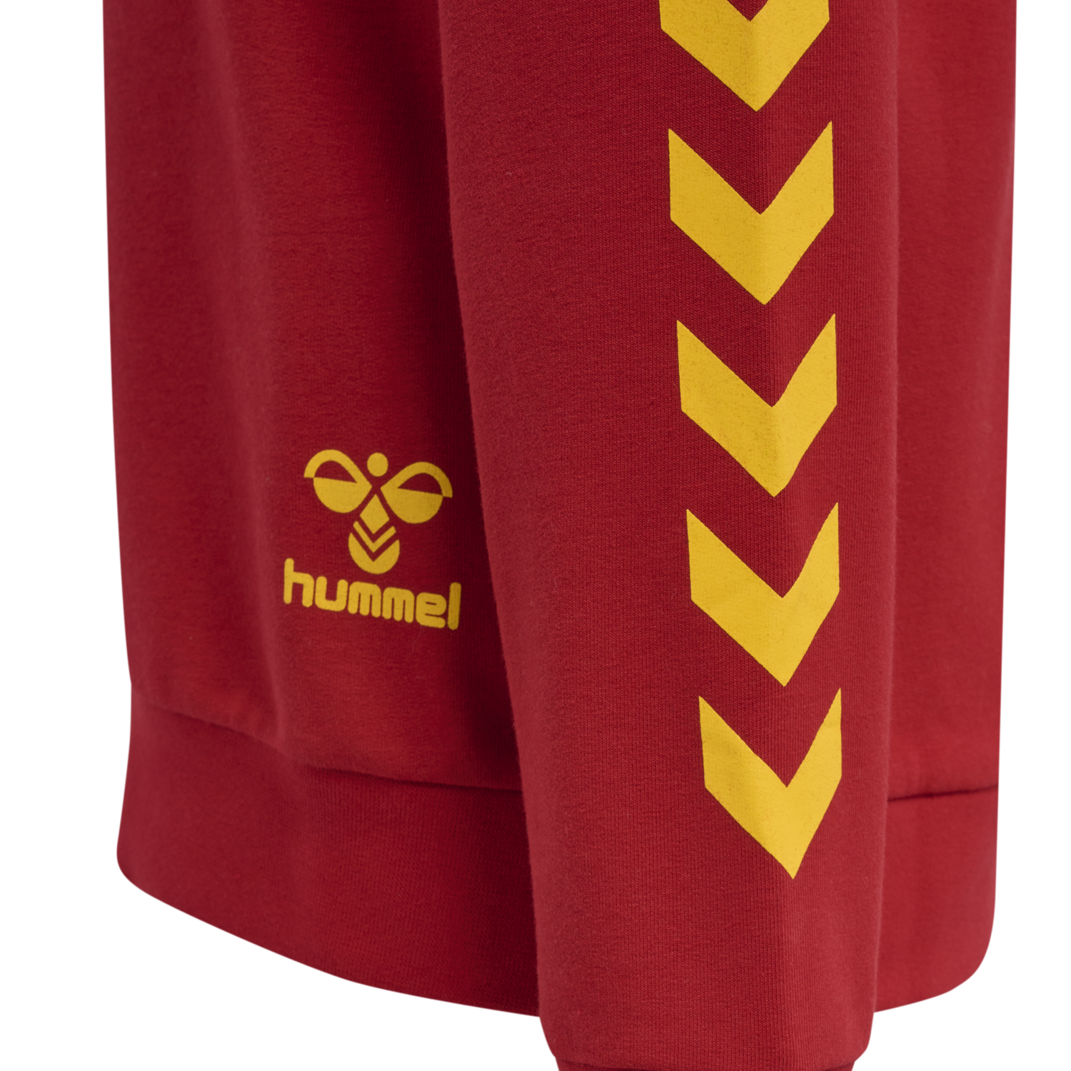 hmlHARRY POTTER CUATRO HOODIE, SCARLET SAGE, packshot