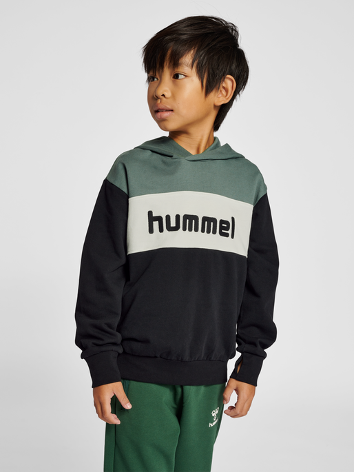 hmlMORTEN HOODIE, 6575, model