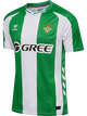 FERN GREEN/WHITE