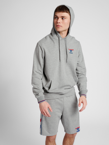 hmlIC DAYTON HOODIE, GREY MELANGE, model