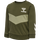 OLIVE NIGHT