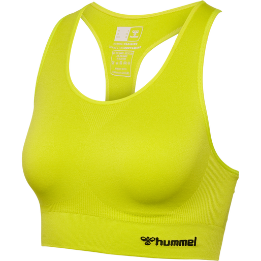 hmlTIF SEAMLESS SPORTS TOP, SULPHUR SPRING, packshot