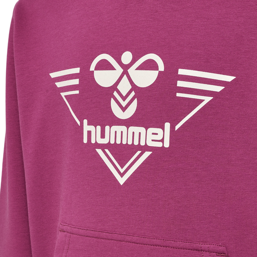 hmlGAIL HOODIE, 3171, packshot