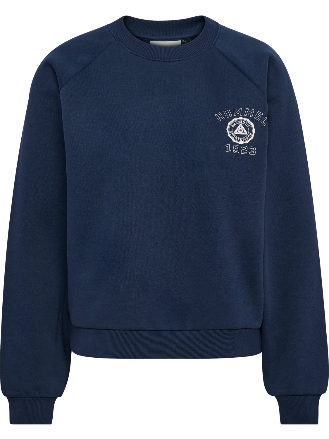 hmlKEEPER W BOXY GRAPHIC CREWNECK, DRESS BLUES, packshot