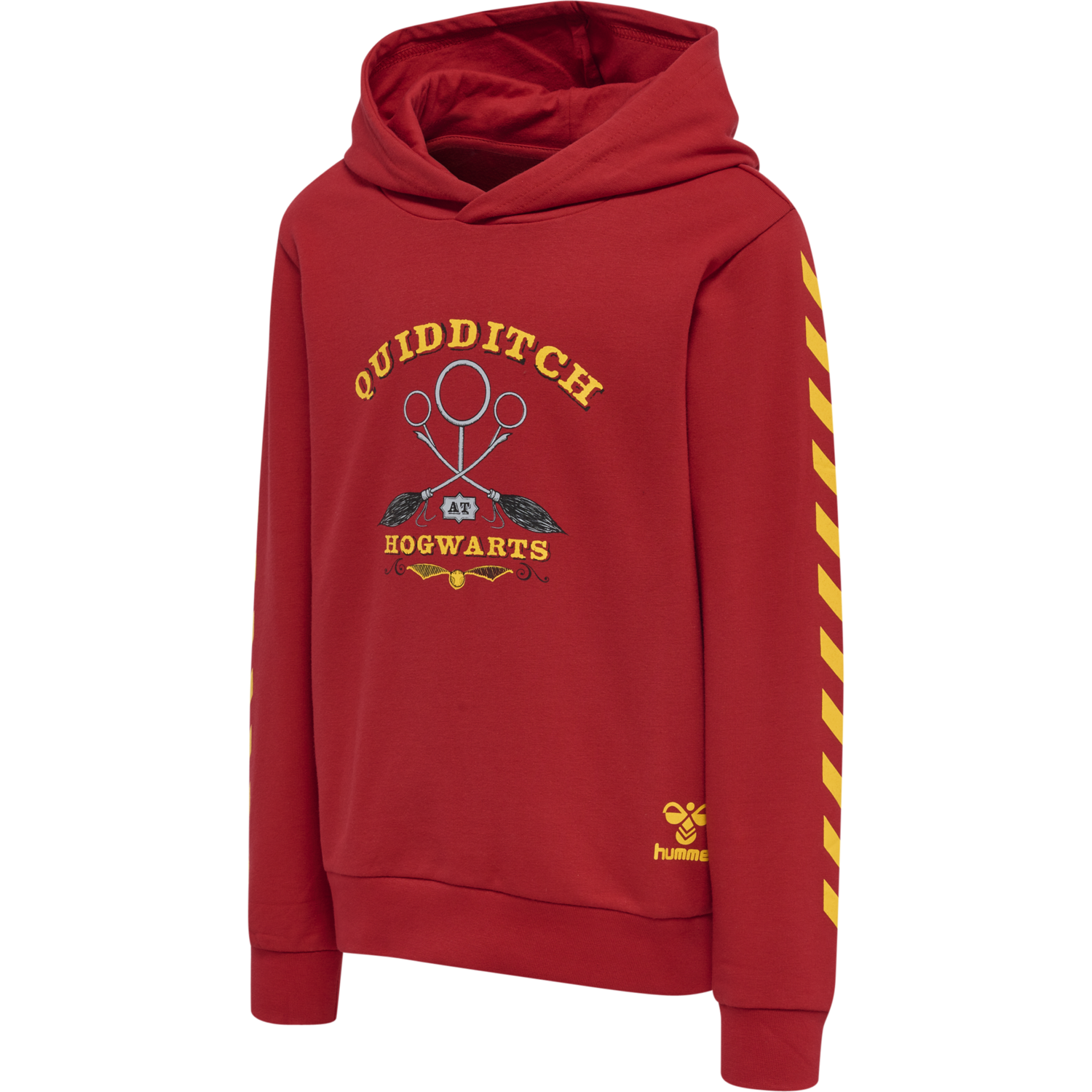 hmlHARRY POTTER CUATRO HOODIE, SCARLET SAGE, packshot