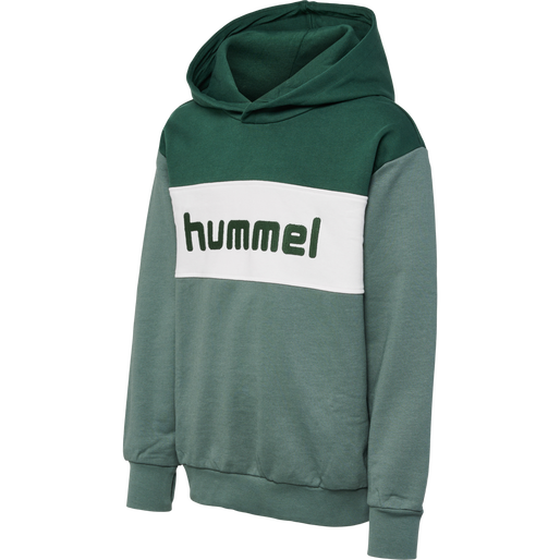 hmlMORTEN HOODIE, 6041, packshot