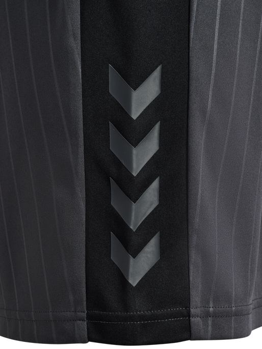 hmlPULSE STRIPE BLOCKED SHORTS, EBONY/BLACK, packshot