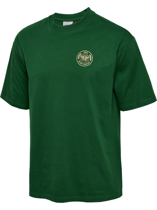 hmlSWARM LOOSE T-SHIRT, EDEN, packshot