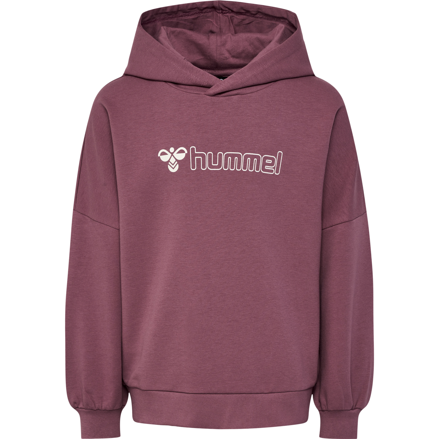 hmlOCTOVA HOODIE, ROSE BROWN, packshot