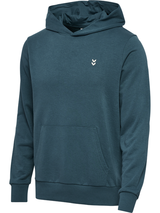 hmlPULSE SWEAT HOODIE, STARGAZER, packshot