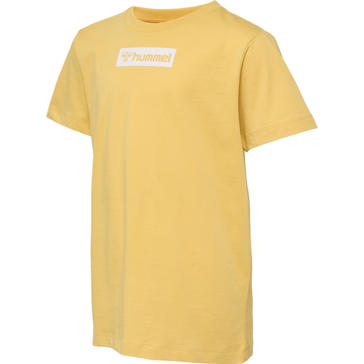 hmlFLOW T-SHIRT S/S, OCHRE, packshot