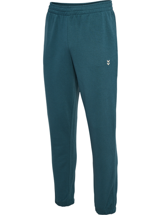hmlPULSE SWEAT PANTS, STARGAZER, packshot