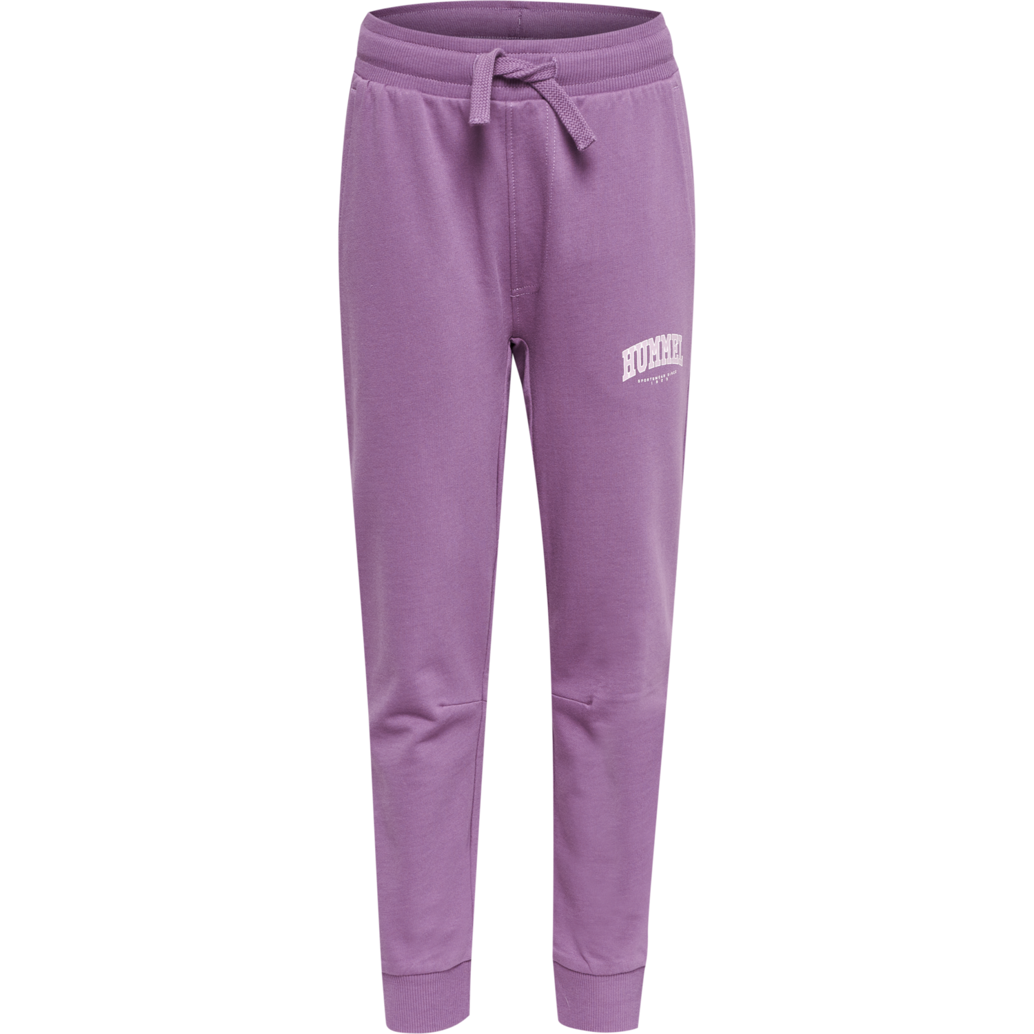 hmlFAST PANTS, ARGYLE PURPLE, packshot