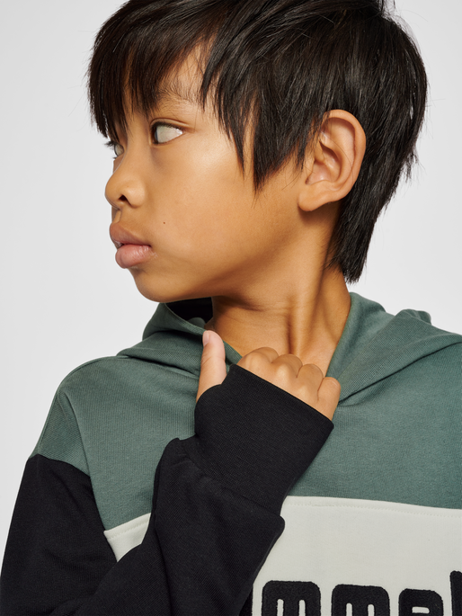 hmlMORTEN HOODIE, 6575, model