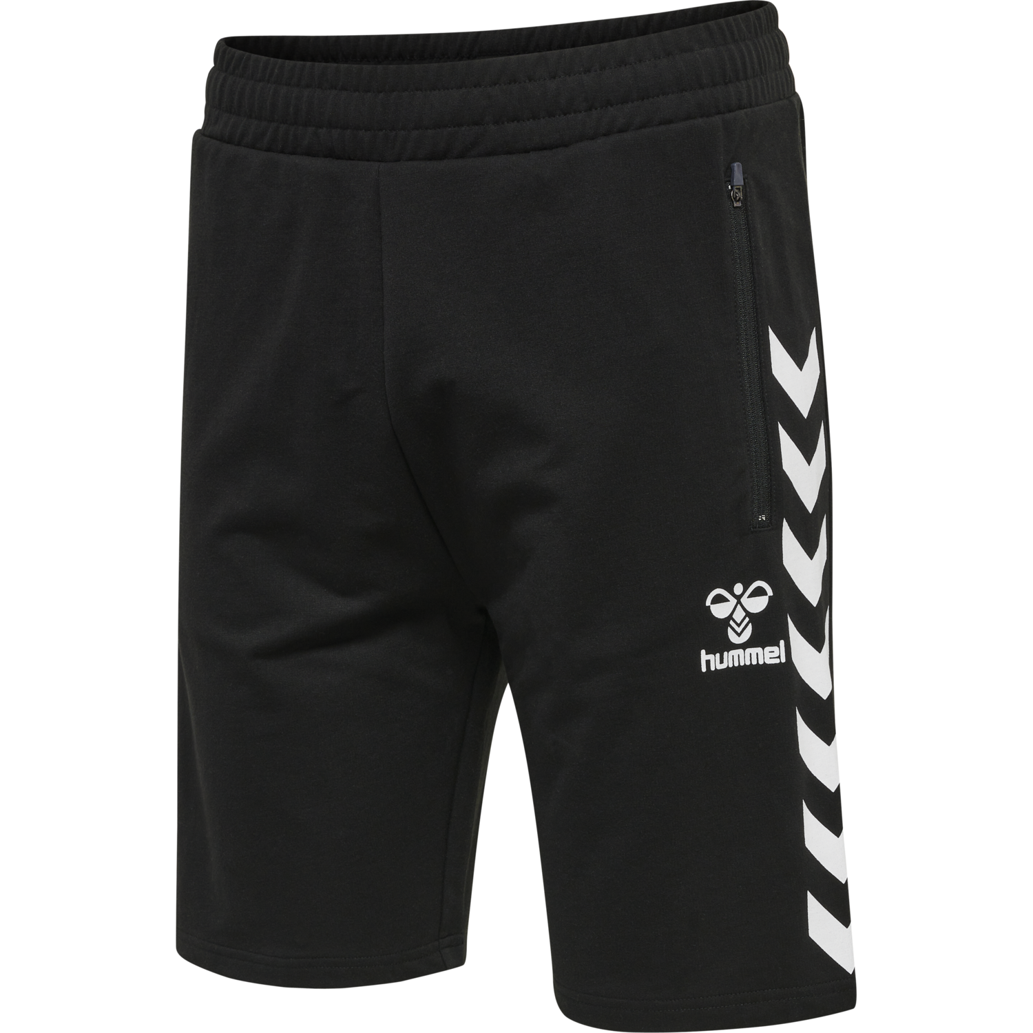 hmlRAY 2.0 SHORTS, BLACK, packshot