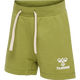 GREEN OLIVE
