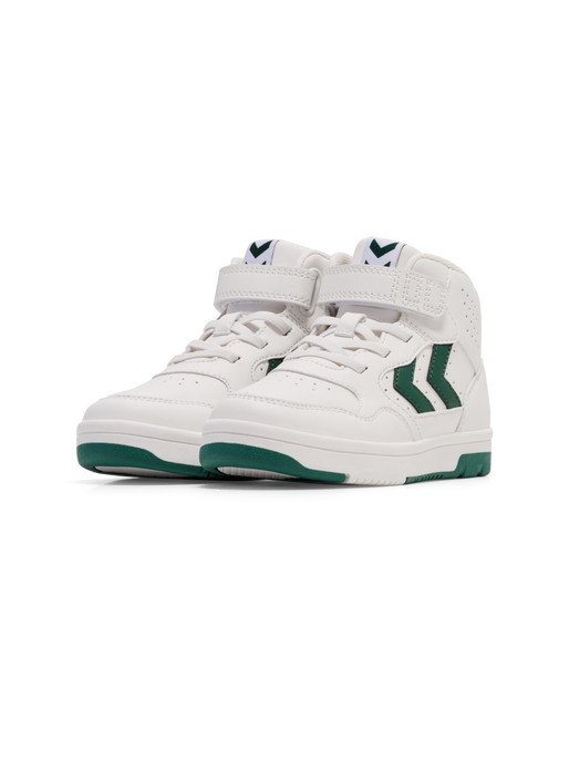 CAMDEN HIGH JR, GARDEN TOPIARY, packshot