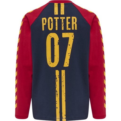 hmlHARRY POTTER BOYS T-SHIRT L/S, SCARLET SAGE, packshot