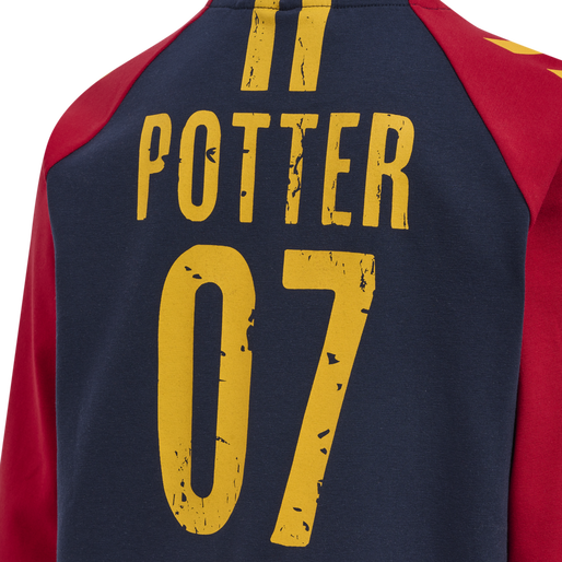 hmlHARRY POTTER BOYS T-SHIRT L/S, SCARLET SAGE, packshot