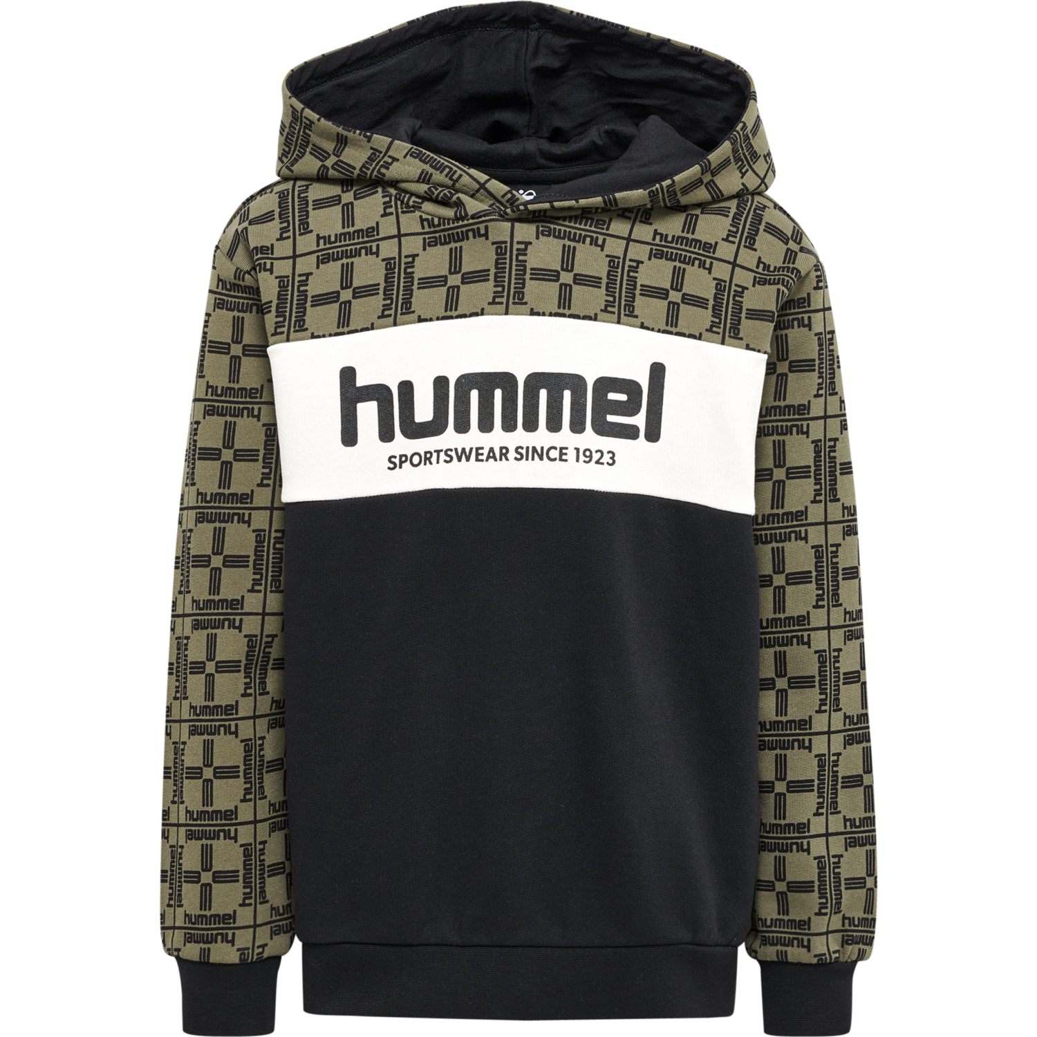 hmlCOLDEN HOODIE, 1929, packshot