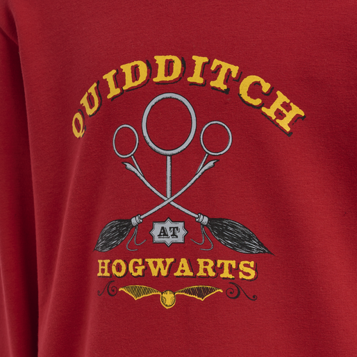 hmlHARRY POTTER CUATRO HOODIE, SCARLET SAGE, packshot