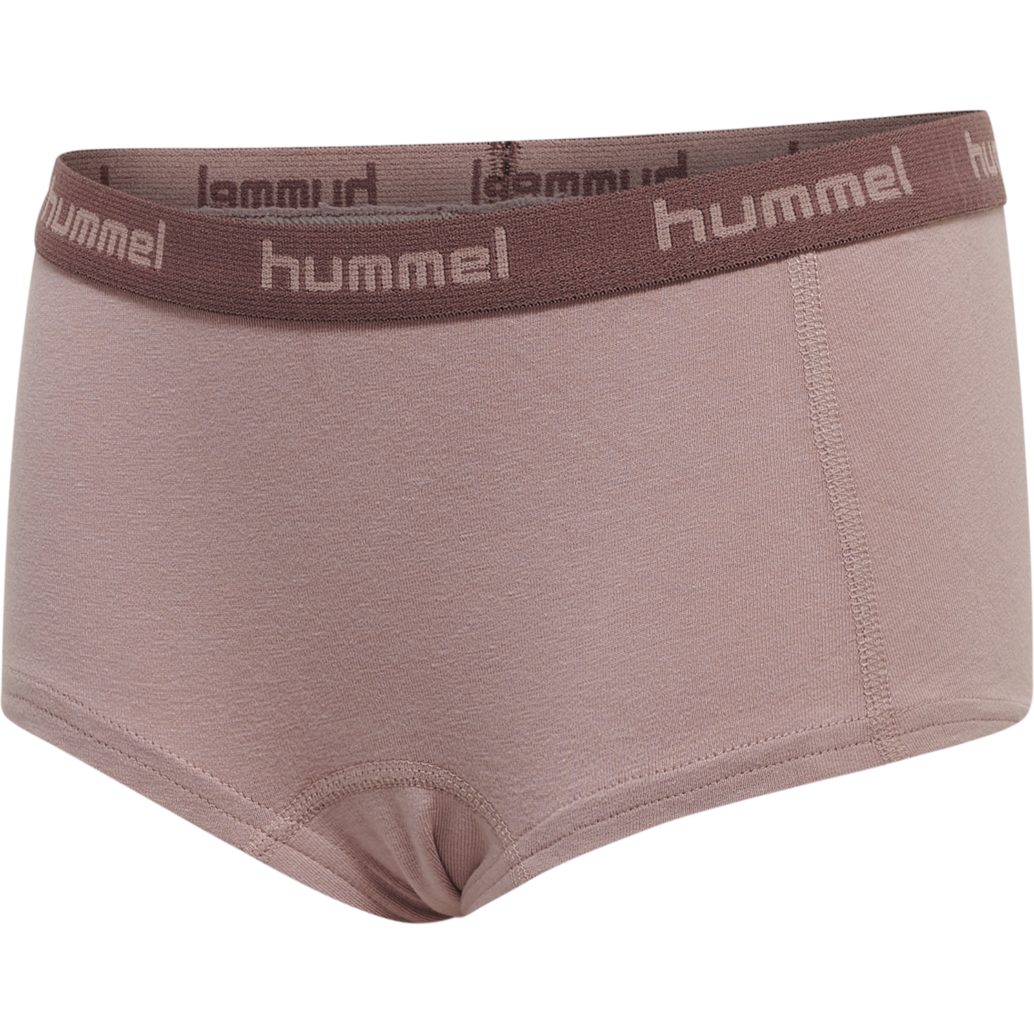 hmlCAROLINA HIPSTERS 2-PACK, 4093, packshot