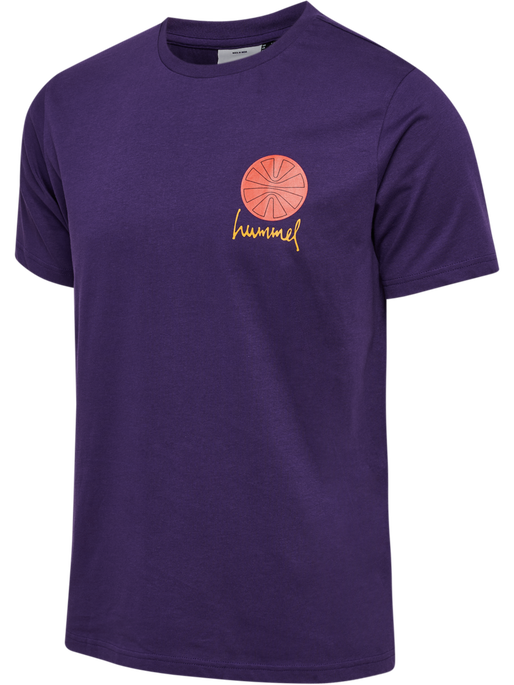 hmlREGULAR GRAPHIC TEE S/S, BLACKBERRY CORDIAL, packshot
