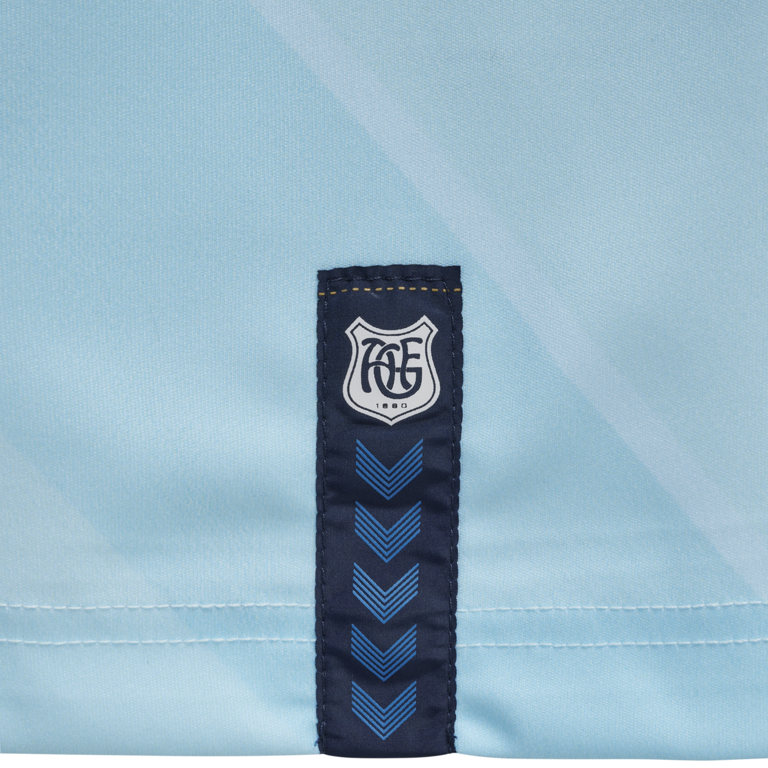 AGF 20/21 SHARE LEGEND GK JERSEY LS, 7451, packshot