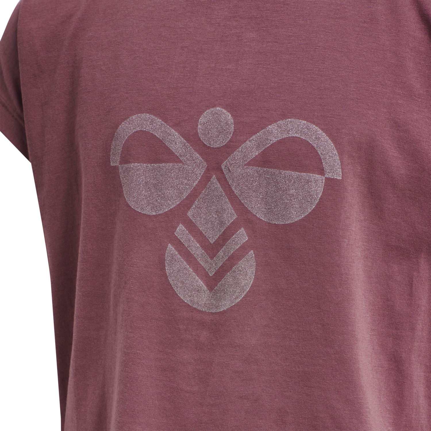 hmlDIEZ T-SHIRT S/S, ROAN ROUGE, packshot