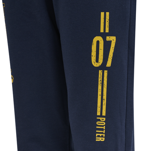 hmlHARRY POTTER ON PANTS, BLACK IRIS hmlHARRY POTTER ON PANTS, BLACK IRIS, packshot