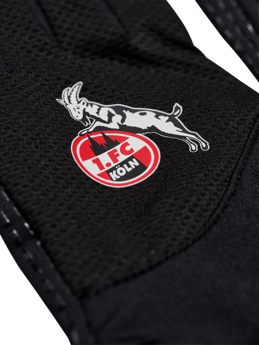 1FCK 23/24 TR PLAYER GLOVE, BLACK, packshot
