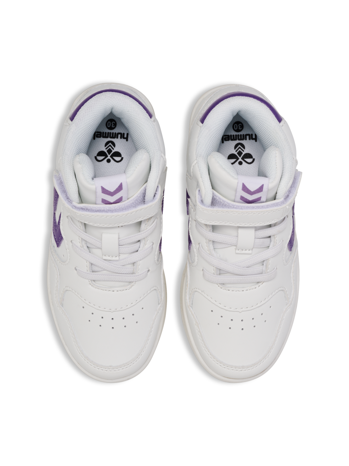 CAMDEN HIGH JR, PANSY, packshot