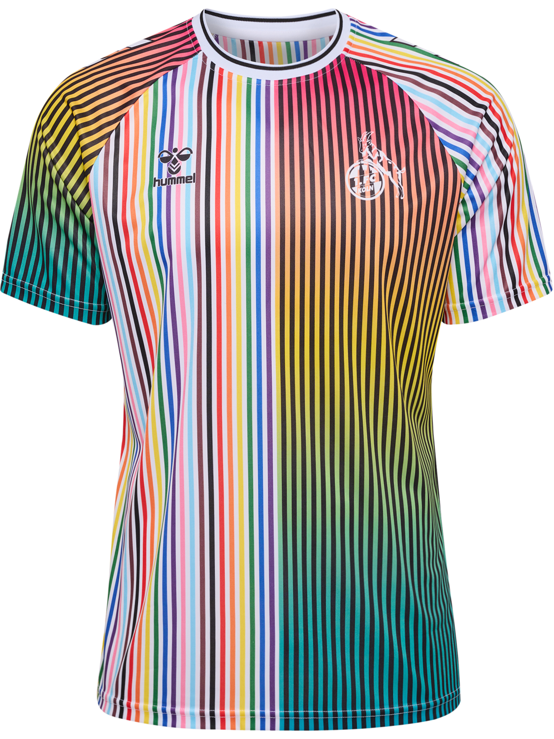 HMLFLAG 23/24 JERSEY S/S, !MULTI COLOR 1FCK, packshot